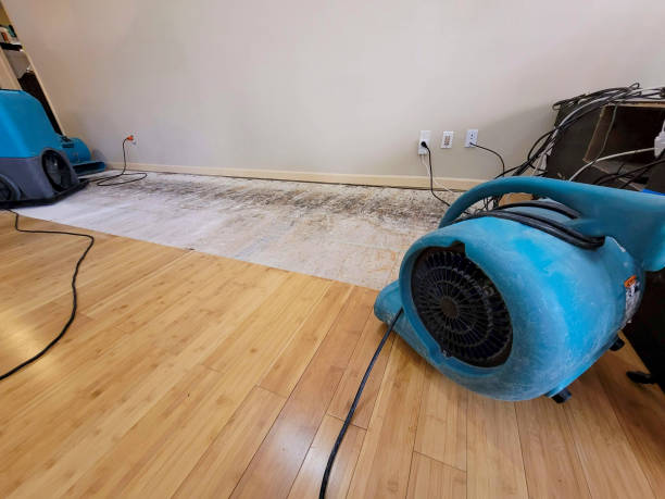 Professional Basement Flood Cleanup technician working in Yacolt, WA